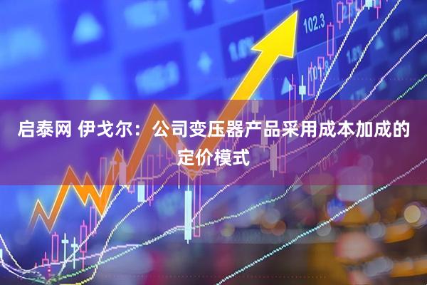 启泰网 伊戈尔：公司变压器产品采用成本加成的定价模式