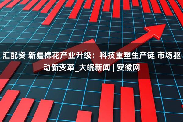 汇配资 新疆棉花产业升级：科技重塑生产链 市场驱动新变革_大皖新闻 | 安徽网