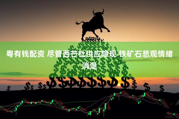粤有钱配资 尽管西芒杜供应隐现 铁矿石悲观情绪消退