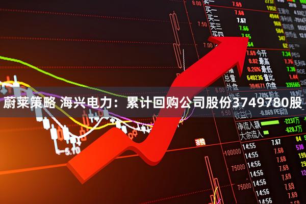 蔚莱策略 海兴电力：累计回购公司股份3749780股