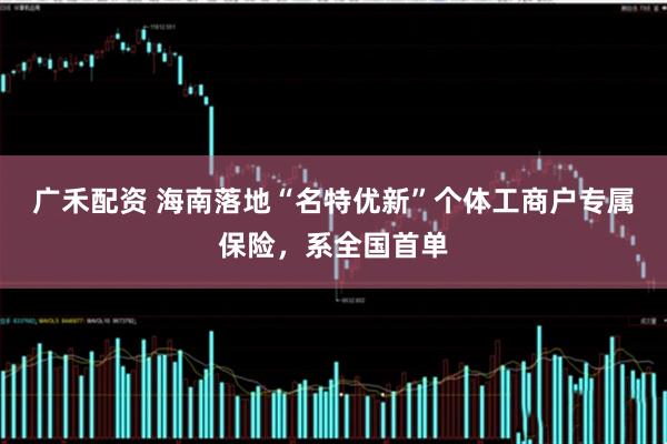 广禾配资 海南落地“名特优新”个体工商户专属保险，系全国首单