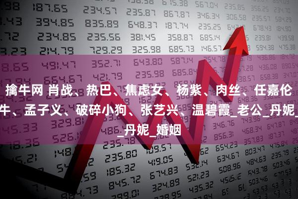 擒牛网 肖战、热巴、焦虑女、杨紫、肉丝、任嘉伦、牛牛、孟子义、破碎小狗、张艺兴、温碧霞_老公_丹妮_婚姻