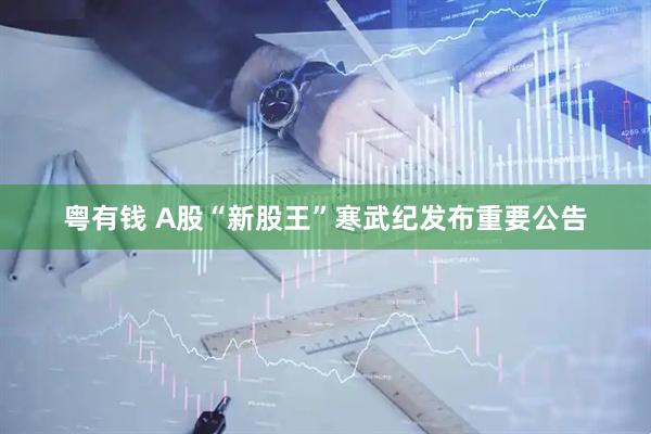 粤有钱 A股“新股王”寒武纪发布重要公告