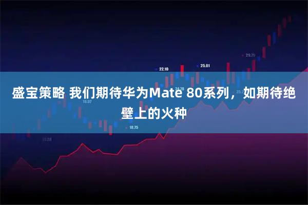 盛宝策略 我们期待华为Mate 80系列，如期待绝壁上的火种