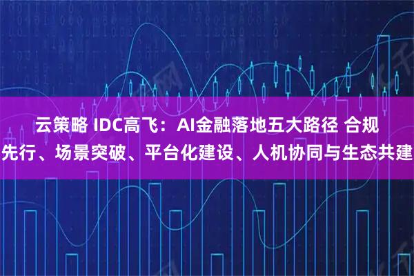 云策略 IDC高飞：AI金融落地五大路径 合规先行、场景突破、平台化建设、人机协同与生态共建