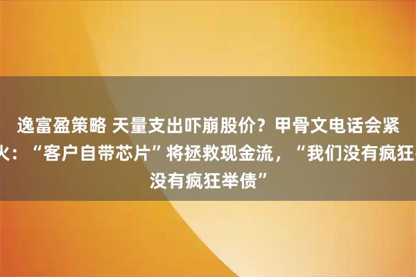 逸富盈策略 天量支出吓崩股价？甲骨文电话会紧急救火：“客户自带芯片”将拯救现金流，“我们没有疯狂举债”