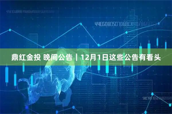 鼎红金投 晚间公告｜12月1日这些公告有看头
